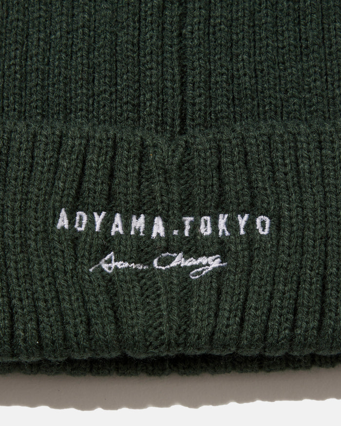 Aaron Chang Green Watch Cap