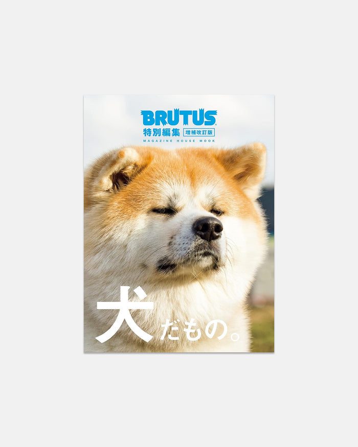 Brutus: It's a Dog!
