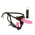 Dual Harness
