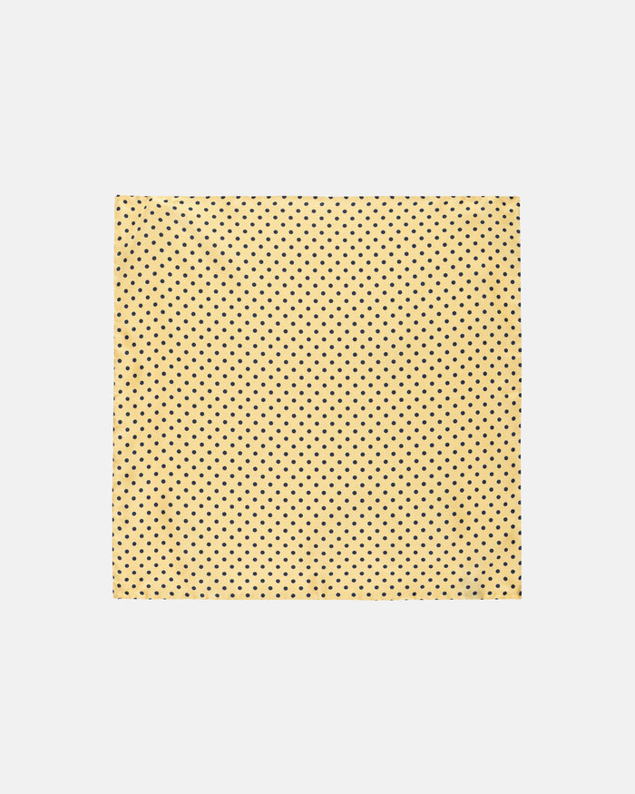 Made-in-Italy Yellow & Navy Polka Dot Silk Pocket Square
