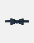 Made-in-USA Navy & Green Guard Stripe Silk Repp Bow Tie