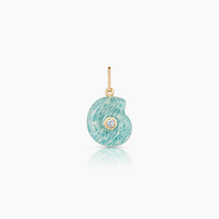 Nautilus Amazonite Spiral Shell