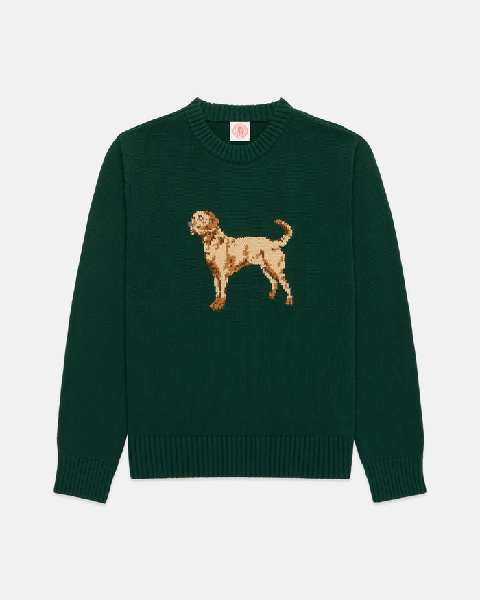 Retriever Intarsia Knit Cotton Sweater