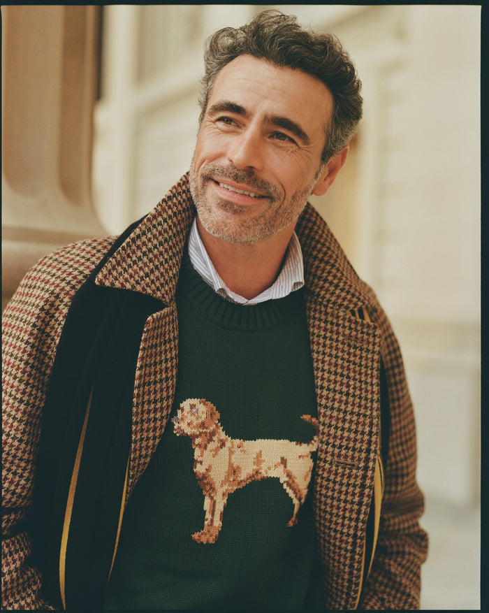 Retriever Intarsia Knit Cotton Sweater