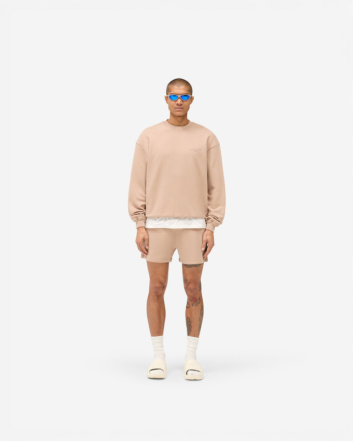 247_Team_Oversized_Crew_-_Clay_06.jpg