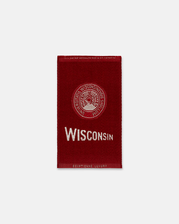 University Of Wisconsin Silk Paperweight